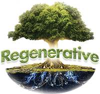Regenerative, LLC