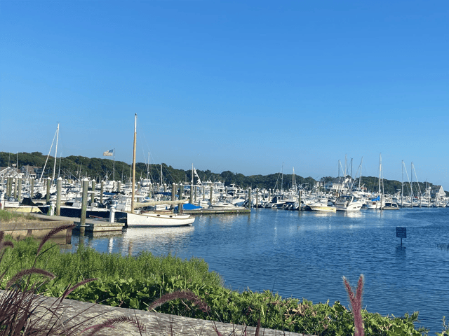 Cape Cod Cannabis Recreational Dispensary near Harwich, MA Cape Cod Cannabis Recreational Dispensary near Harwich, MA