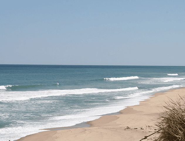 Cape Cod Cannabis Recreational Dispensary in Wellfleet, MA
