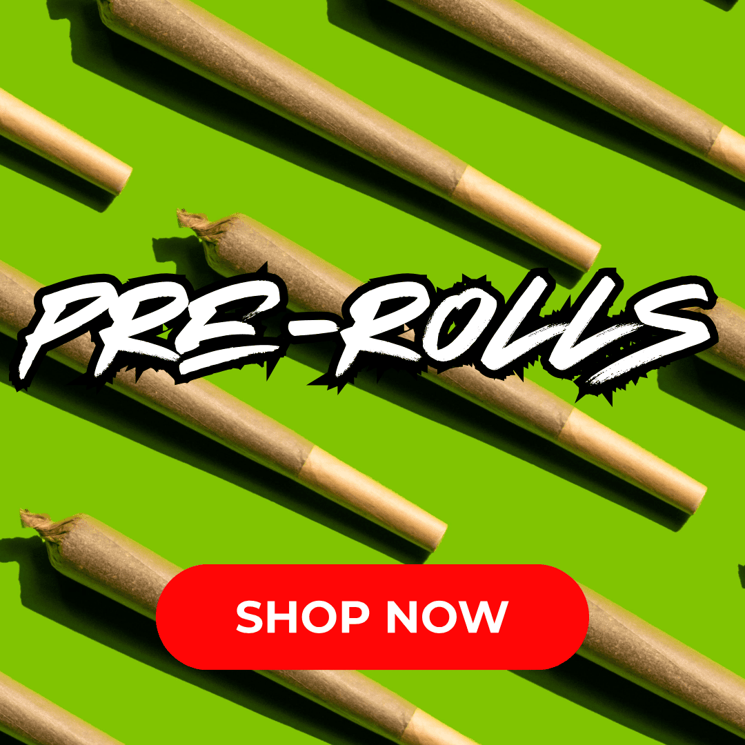 Cape Cod Cannabis Recreational Dispensary in Wellfleet, MA Cape Cod Cannabis Recreational Dispensary in Wellfleet, MA