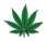 Cape Cod Cannabis Recreational Dispensary in Wellfleet, MA
