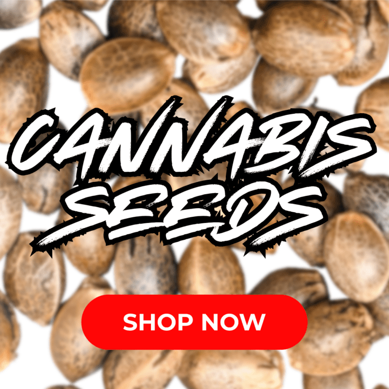 Cape Cod Cannabis Recreational Dispensary in Wellfleet, MA Cannabis Seeds Button