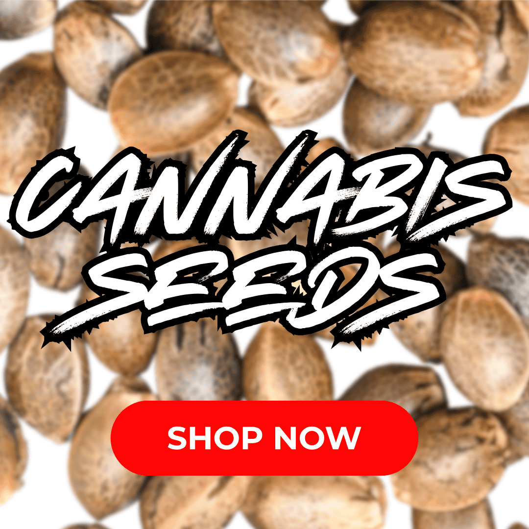 Cape Cod Cannabis Recreational Dispensary in Wellfleet, MA Cape Cod Cannabis Recreational Dispensary in Wellfleet, MA