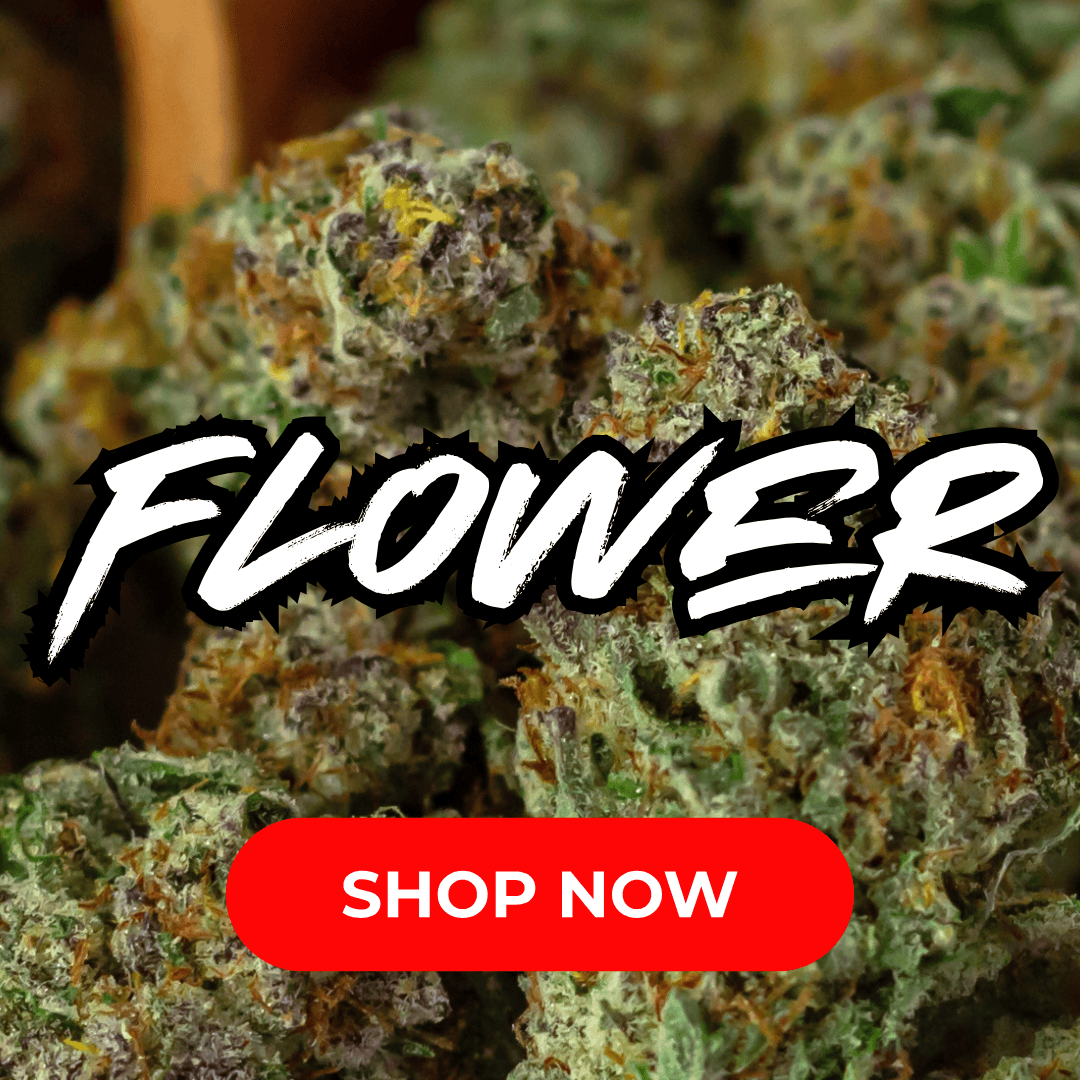 Cape Cod Cannabis Recreational Dispensary in Wellfleet, MA Cape Cod Cannabis Recreational Dispensary in Wellfleet, MA