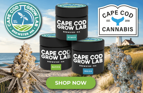 Cape Cod Cannabis Recreational Dispensary in Wellfleet, MA