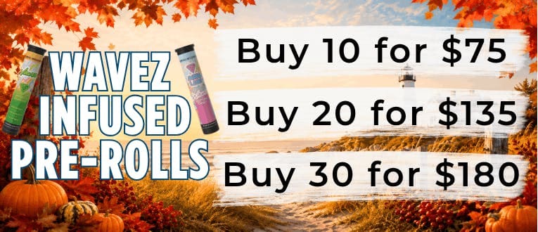 Cape Cod Cannabis Recreational Dispensary in Wellfleet, MA
