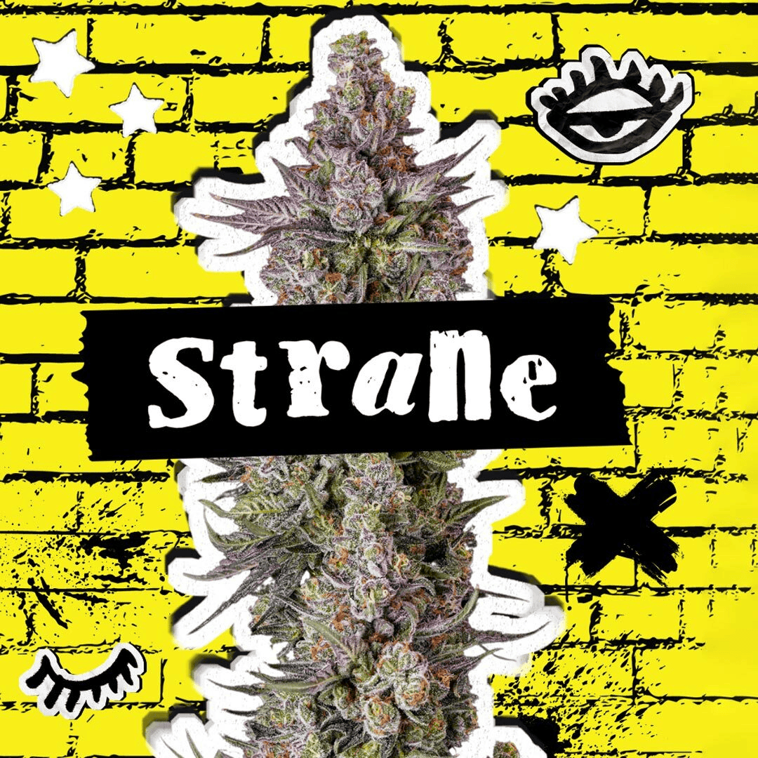 Strane Logo