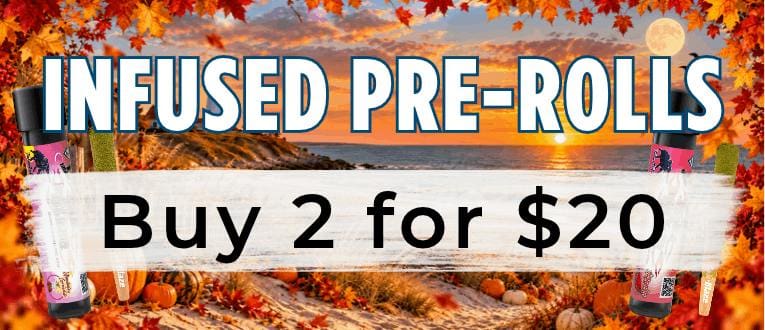 Cape Cod Cannabis Recreational Dispensary in Wellfleet, MA