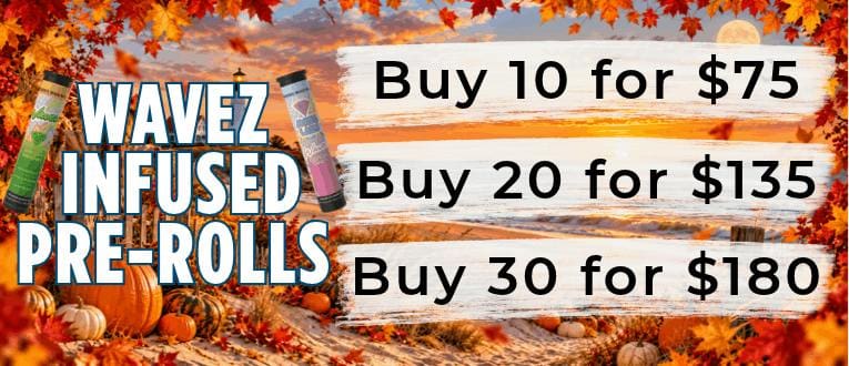Cape Cod Cannabis Recreational Dispensary in Wellfleet, MA