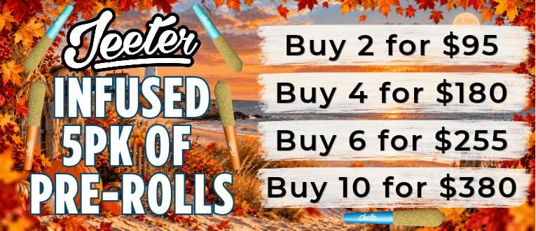 Cape Cod Cannabis Recreational Dispensary in Wellfleet, MA