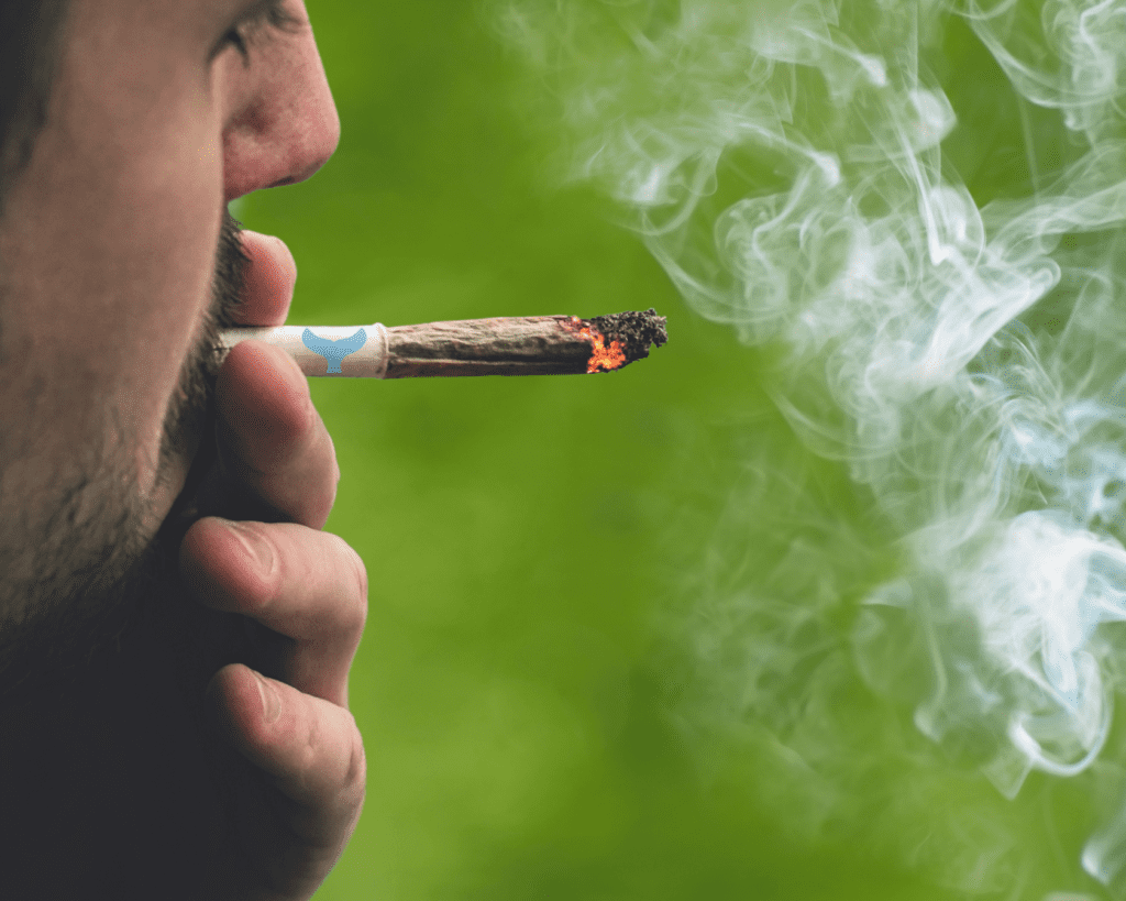 Cape Cod Cannabis Recreational Dispensary in Wellfleet, MA | The best Cape Cod dispensary, the best cannabis selection and the best cannabis prices on Cape Cod - Always worth the trip! Cape Cod Cannabis Recreational Dispensary in Wellfleet, MA | The best Cape Cod dispensary, the best cannabis selection and the best cannabis prices on Cape Cod - Always worth the trip!