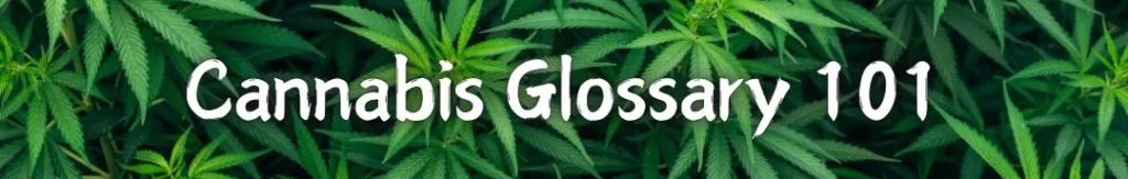 Cannabis Glossary 101