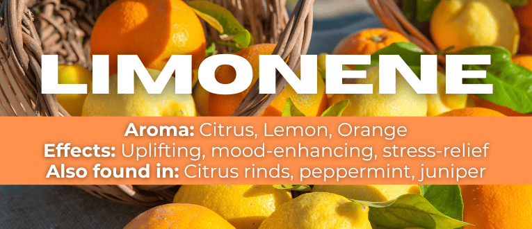 Shop Limonene Terpenes at Cape Cod Cannabis in Wellfleet, MA