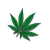 Cape Cod Cannabis Recreational Dispensary in Wellfleet, MA | The best Cape Cod dispensary, the best cannabis selection and the best cannabis prices on Cape Cod - Always worth the trip!