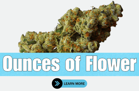Cape Cod Cannabis Recreational Dispensary in Wellfleet, MA | The best Cape Cod dispensary, the best cannabis selection and the best cannabis prices on Cape Cod - Always worth the trip!
