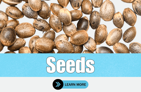 Cape Cod Cannabis Recreational Dispensary in Wellfleet, MA | The best Cape Cod dispensary, the best cannabis selection and the best cannabis prices on Cape Cod - Always worth the trip!